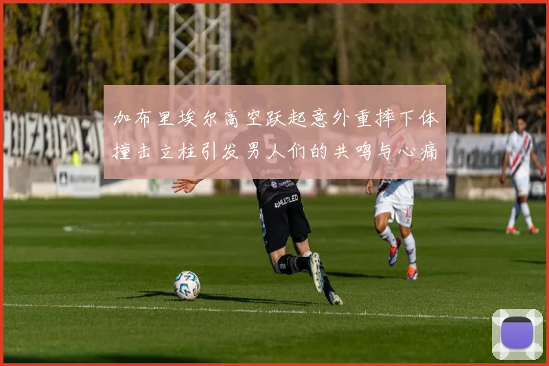 加布里埃尔高空跃起意外重摔下体撞击立柱引发男人们的共鸣与心痛