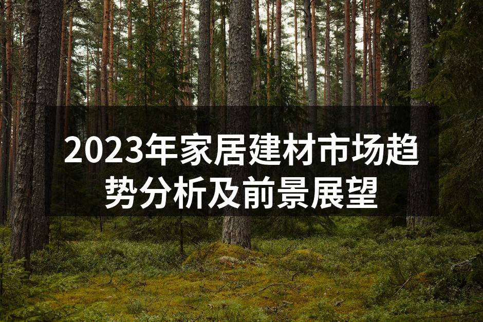 2023年家居建材市场趋势分析及前景展望